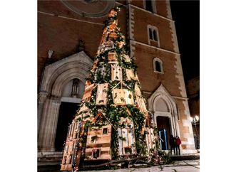 Pohon Natal di Sebuah Kota di Italia Ini Berbentuk Unik dan Menjadi Tempat Tinggal Kucing Jalanan