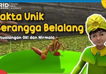 Dongeng Anak, Petualangan Oki dan Nirmala: Fakta Unik Serangga Belalang