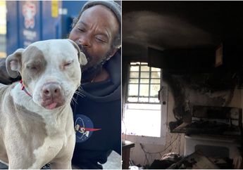 Seperti Pahlawan, Seorang Tuna Wisma Menyelamatkan 6 Anjing dan 10 Kucing dari Kebakaran di Penampungan Hewan