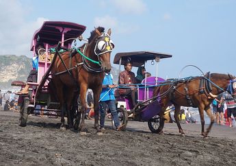 Macam-Macam Transportasi Darat dan Fungsinya, serta Perkembangan Teknologi Transportasi