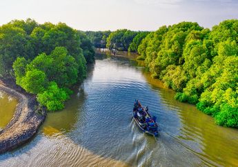 Cari Jawaban Soal Kelas 5 Tema 8 Subtema 1: Apakah Persediaan Air Sungai Bisa Berkurang karena Menguap saat Kena Panas Matahari?