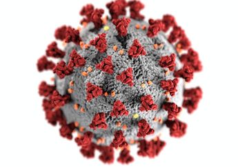 Perbedaan Bakteri dan Virus, 2 Mikroba Penyebab Infeksi yang Sering Dianggap Sama