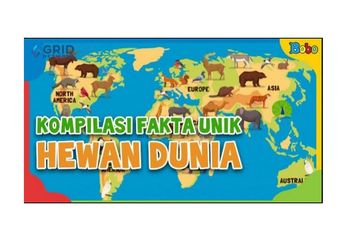 Berbagai Fakta Unik Hewan di Dunia, Ada yang Bisa Mendeteksi Bencana Alam, Hingga Komodo yang Bisa Berlari Cepat