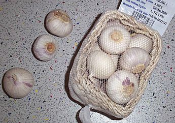 Kalah Populer dengan Rempah Lain, Bawang Putih Tunggal Ternyata Simpan 5 Khasiat Ini, Salah Satunya Bisa Cegah Kanker