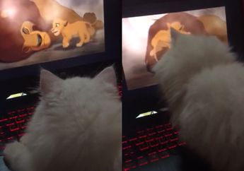 Kucing Ini Berusaha Menenangkan Simba yang Menangis saat Diajak Pemiliknya Menonton Film Lion King