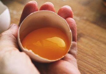 Banyak Dijadikan Campuran Susu atau Jamu, Amankah Makan Telur Mentah?