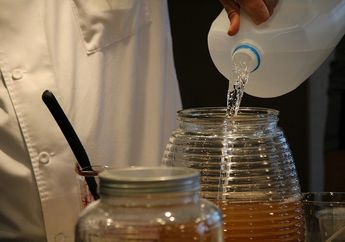 Kombucha Disebut Sebagai Minuman Kesehatan, Ketahui Manfaat dan Risiko Minum Kombucha, yuk!