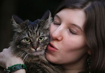 Pantas Banyak yang Kabur atau Marah, Ternyata Ini yang Ada di Pikiran Kucing Kalau Kita Menciumnya