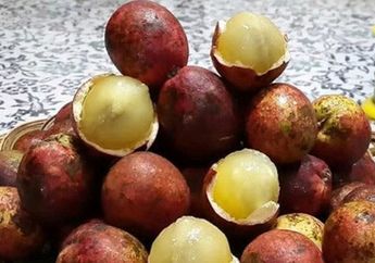 Tak Banyak yang Tahu, Buah Matoa Bisa Bantu Atasi Berbagai Penyakit, Mulai dari Hipertensi Hingga Diabetes