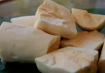 Contoh Pengelompokan Jenis Makanan Hasil Panen dan Makanan Hasil Teknologi Pangan