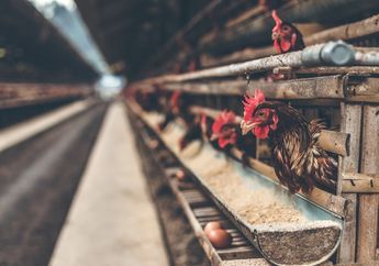 Cari Jawaban Soal Kelas 4 Tema 8 Subtema 1: Kegiatan Ekonomi Produksi, Distribusi, dan Konsumsi di Tabanan Bali
