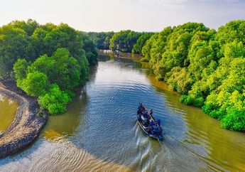 Kewajiban Manusia Terhadap Lingkungan Alam: Hutan, Sungai, Hewan yang Terancam Punah, Materi Kelas 4 Tema 9 Subtema 1