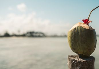 Murah dan Alami, Air Kelapa Bisa Berikan Banyak Manfaat untuk Kesehatan, Salah Satunya untuk Hipertensi