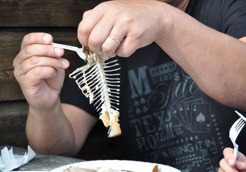 Jangan Diberikan Lagi, 5 Makanan Ini Sebenarnya Tidak Boleh Dimakan Kucing! Salah Satunya Tulang