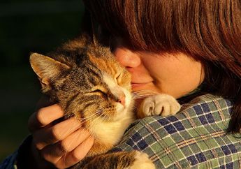 BERITA POPULER: Cara Aman Memeluk dan Mencium Kucing Hingga 2 Bahan yang Tidak Boleh Dicampurkan dengan Alpukat