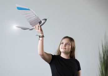 Berkenalan dengan Robot Burung BionicSwift, Bisa Digunakan untuk Belajar Sains!