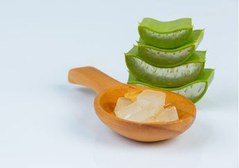 Tak Disangka, Lidah Buaya Ternyata Punya Manfaat untuk Diabetes, Salah Satunya Jaga Kadar Gula Darah