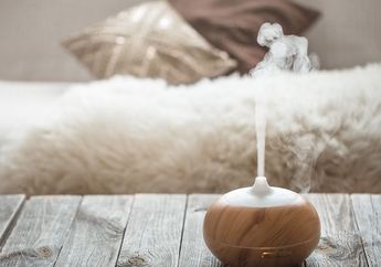 Jarang Disadari, 5 Benda Ini Bisa Bikin Rumah Berdebu Terus Walau Sudah Dibersihkan, Masih Simpan Benda Ini di Rumah?