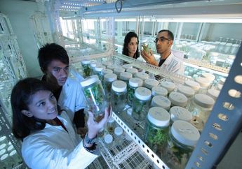 Contoh Soal Bioteknologi Berikut dengan Jawaban dan Penjelasannya