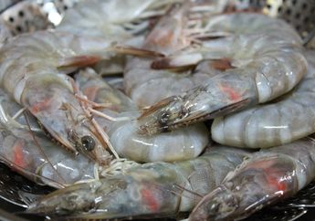 Ciri-Ciri Udang yang Sudah Tidak Segar Lagi, Waspada Keracunan!