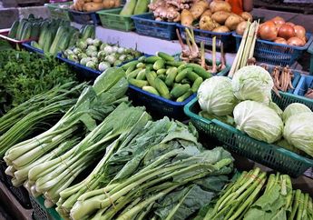 Sayuran-Sayuran Ini Merupakan yang Paling Sehat untuk Dikonsumsi, Ada Sayur Favoritmu?
