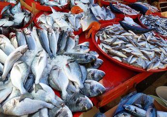 7 Jenis Ikan yang Pantang Dikonsumsi Meski Rasanya Sangat Enak