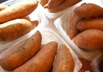 Dibilang Bisa Sebagai Pengganti Nasi, Ubi Punya Manfaat Mencegah Kanker 