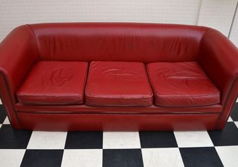 Jangan Sampai Salah! Lakukan Hal Ini untuk Merawat Sofa Kulit, Salah Satunya Jauhkan dari Hewan Peliharaan
