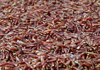 5 Manfaat Mengonsumsi Beras Merah Secara Rutin bagi Kesehatan Tubuh