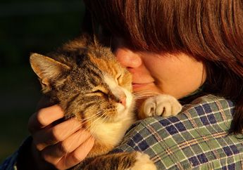 Kucing Sering Menggosokkan Kepala ke Tubuh Kita atau Benda di Sekitarnya? Ternyata Ini Alasannya