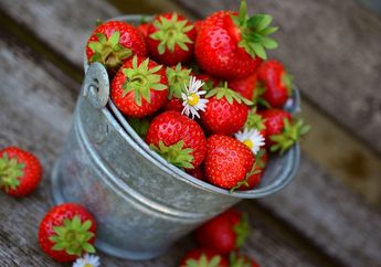 Apakah Benar Stroberi Tidak Termasuk dari Bagian Keluarga Buah Beri?