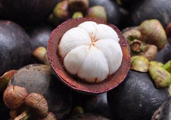 Tak Banyak yang Tahu, Ini 4 Manfaat Manggis untuk Kesehatan, Salah Satunya Jaga Kadar Gula Darah