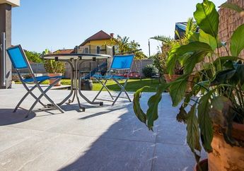 5 Tanaman Hias Ini Cocok Diletakkan di Teras Rumah, Tertarik Coba?