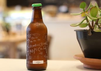 Meski Banyak Manfaatnya, Minum Kombucha Berlebih Malah Berbahaya untuk Kesehatan! Ini 5 Bahayanya