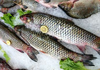 Jangan Lagi Konsumsi Ikan dengan Kondisi Ini, Bisa Berbahaya untuk Kesehatan Tubuh