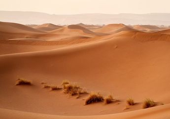 Negara Manakah yang Memiliki Wilayah dengan Cuaca Terpanas di Bumi?
