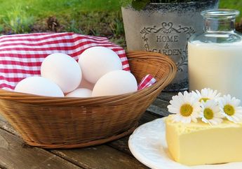 Apa Saja Manfaat Sumber Makanan Hewani? Materi Kelas 6 SD Tema 1