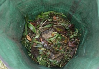Sampah Sisa Makanan Juga Bisa Berbahaya untuk Bumi, Lakukan Cara Ini untuk Mengatasinya