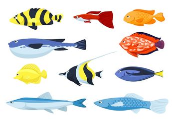 Mengapa  Ada Ikan yang Berenang secara Terbalik?