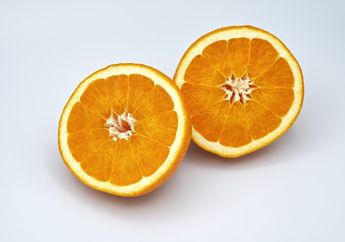 Tidak Semua Buah Bisa Disimpan di Kulkas, Alpukat Mentah Salah Satunya, Mengapa Begitu?