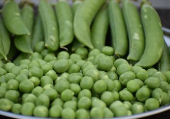 Kacang Polong hingga Wortel, Batasi Konsumsi 3 Jenis Sayur Ini Bagi Pasien Diabetes