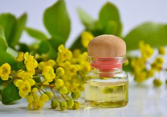 5 Minyak Esensial yang Bisa Membuat Tidur Lebih Nyenyak, Salah Satunya Chamomile