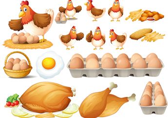 Cari Jawaban Soal Kelas 3 SD Tema 2, Apa Saja Bagian Ayam yang Bermanfaat?