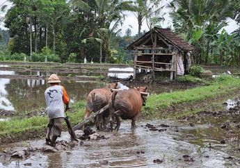 Contoh Soal IPA Materi Manfaat Hewan dan Tumbuhan
