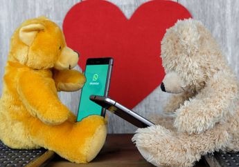 Fitur Baru Whatsapp, Kini Ada Pengaturan Waktu untuk Akses Foto dan Video