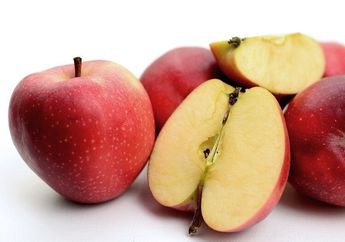 5 Jenis Buah yang Baik untuk Kesehatan Otak, Mulai dari Jeruk hingga Alpukat