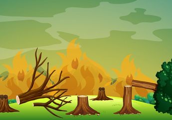 Cari Jawaban Kelas 4 SD Tema 3, Apa Dampak Kebakaran Hutan bagi Orang Lain?
