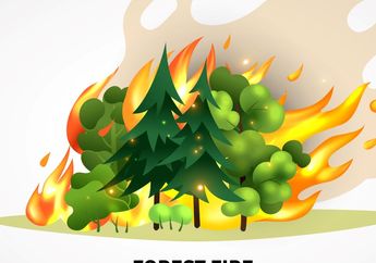 Cari Jawaban Kelas 4 SD Tema 3, Apa Dampak Kebakaran Hutan bagi Lingkungan?