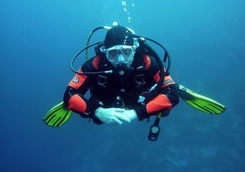 Apa Bedanya Snorkeling dan Diving?