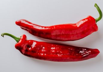 Apa Benar Makanan Pedas Penyebab Penyakit Usus Buntu? Ini Penjelasannya